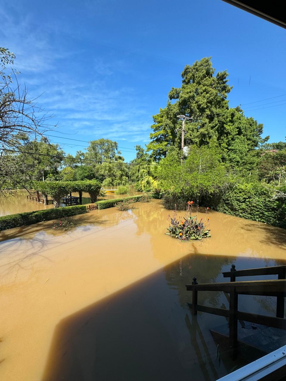 Tigre 3